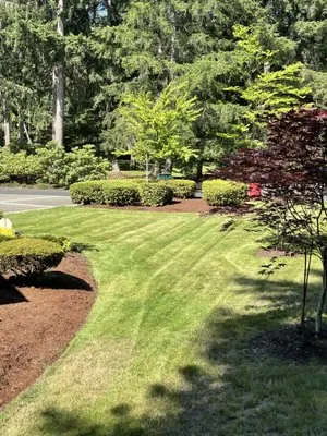 Ortiz Landscaping Logo