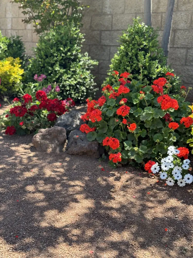 Expert landscape installation in Menifee, CA - Ortiz Landscaping