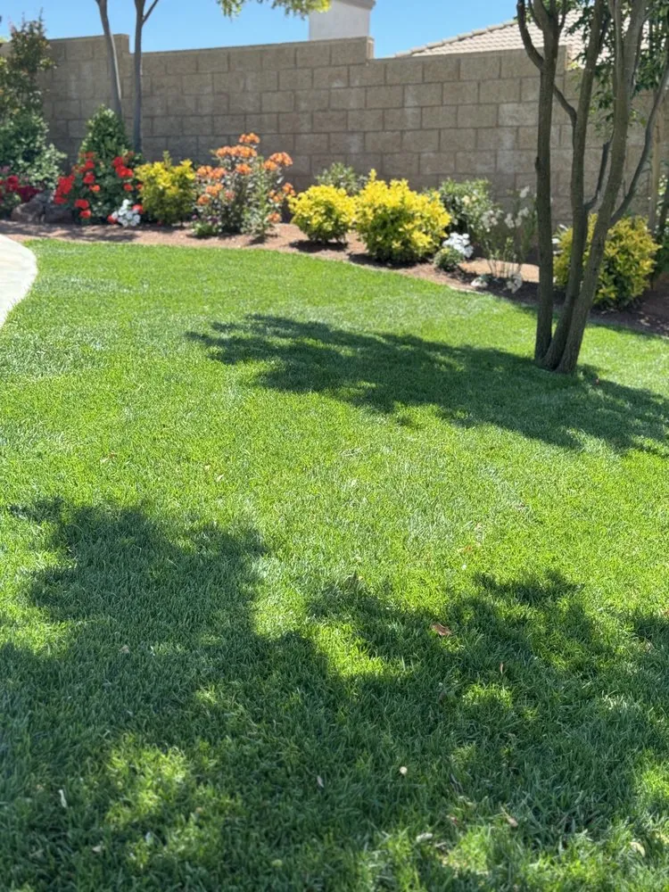Top-rated yard maintenance experts serving Menifee, CA - Ortiz Landscaping