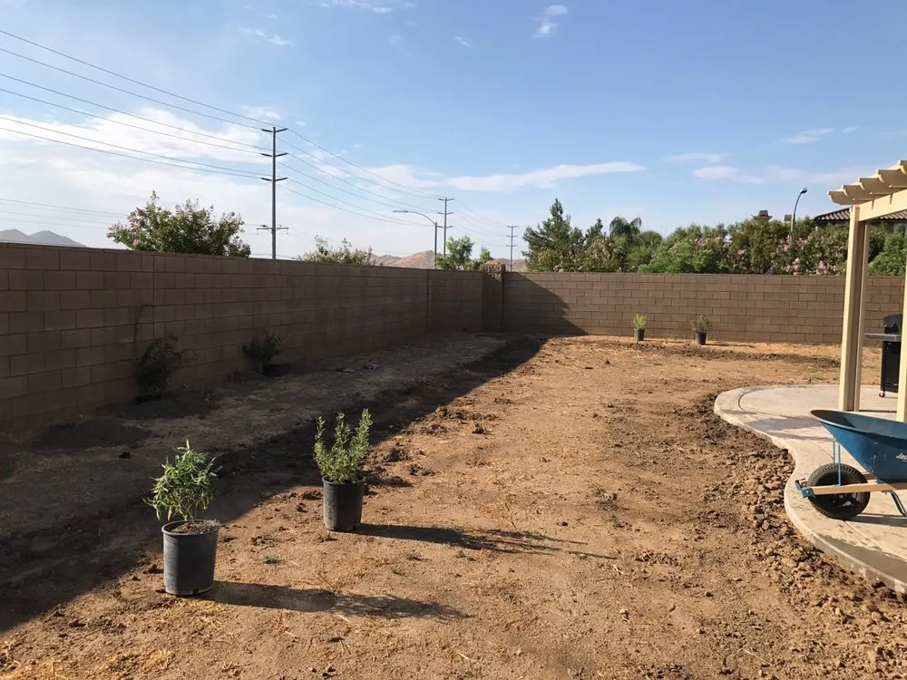 Professional yard maintenance near you in Menifee, CA by Ortiz Landscaping