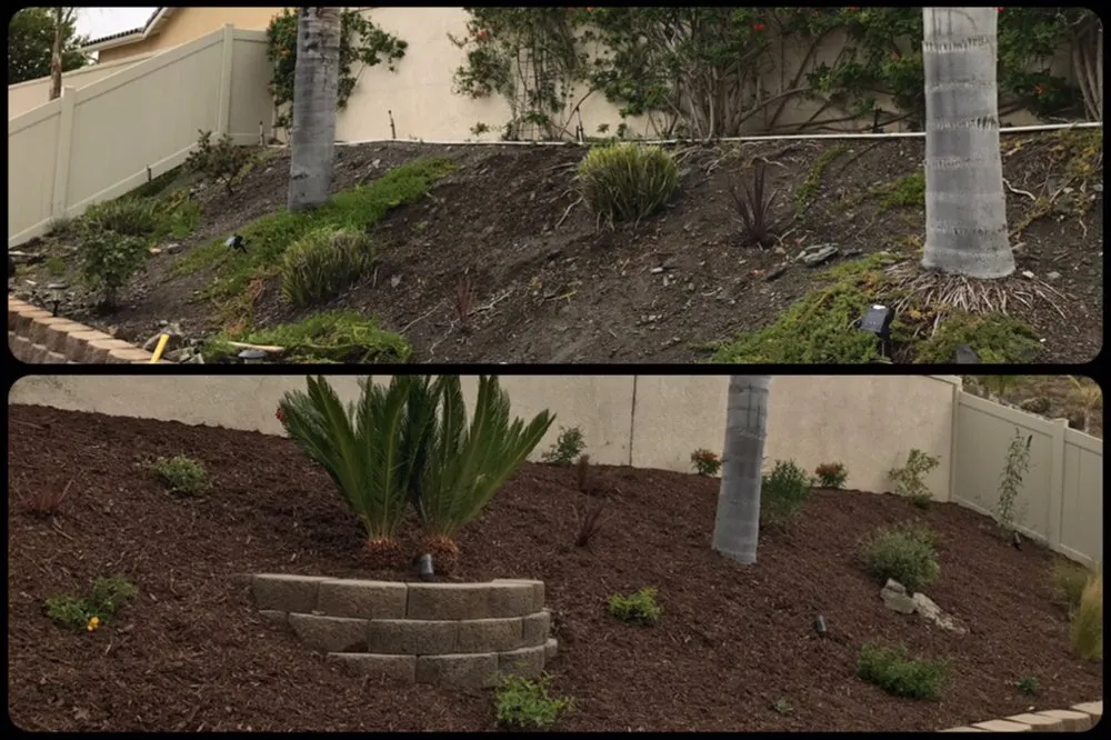 Affordable landscape design with custom design across Menifee, CA - Ortiz Landscaping