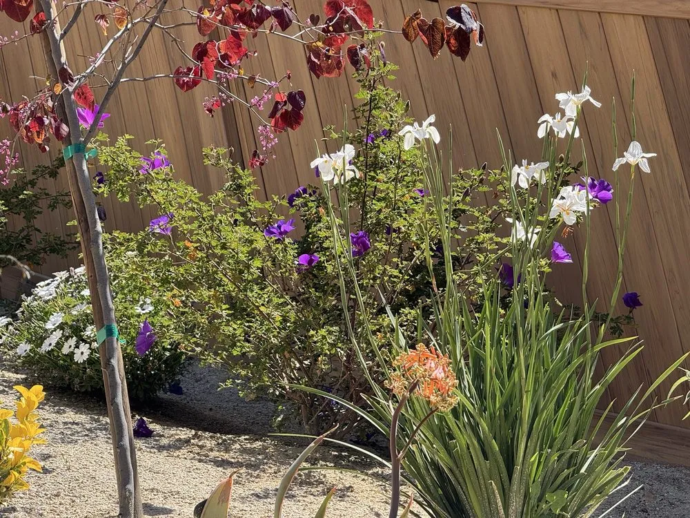 Top-rated lawn mowing service in Menifee, CA by Ortiz Landscaping