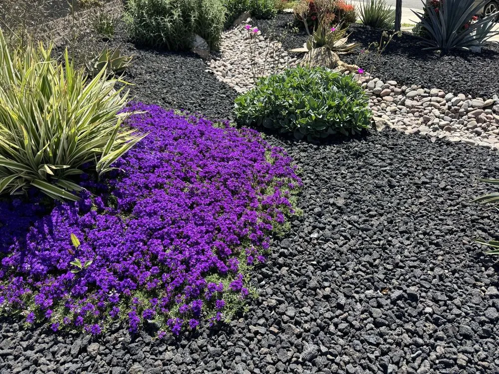 Top-rated lawn care service in Menifee, CA - Ortiz Landscaping