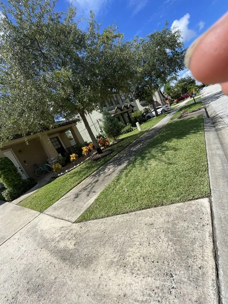 Expert yard cleanup service experts serving Merritt Island, FL - Ortiz Landscaping