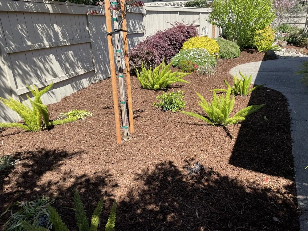 Trusted garden landscaping in Sacramento, CA - Ortiz Landscaping
