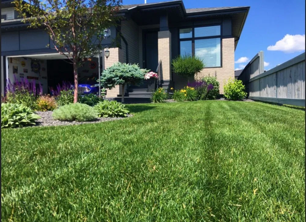 Custom yard cleanup service with custom design in Sacramento, CA by Ortiz Landscaping