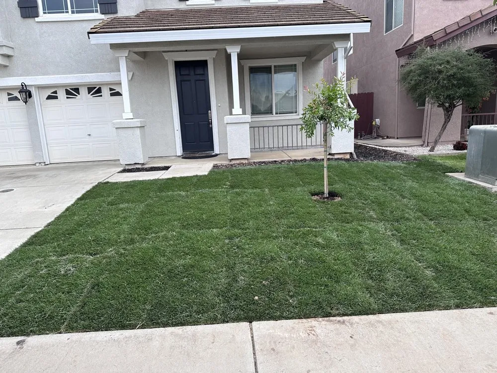 Reliable lawn care service for outdoor upgrades across Sacramento, CA - Ortiz Landscaping