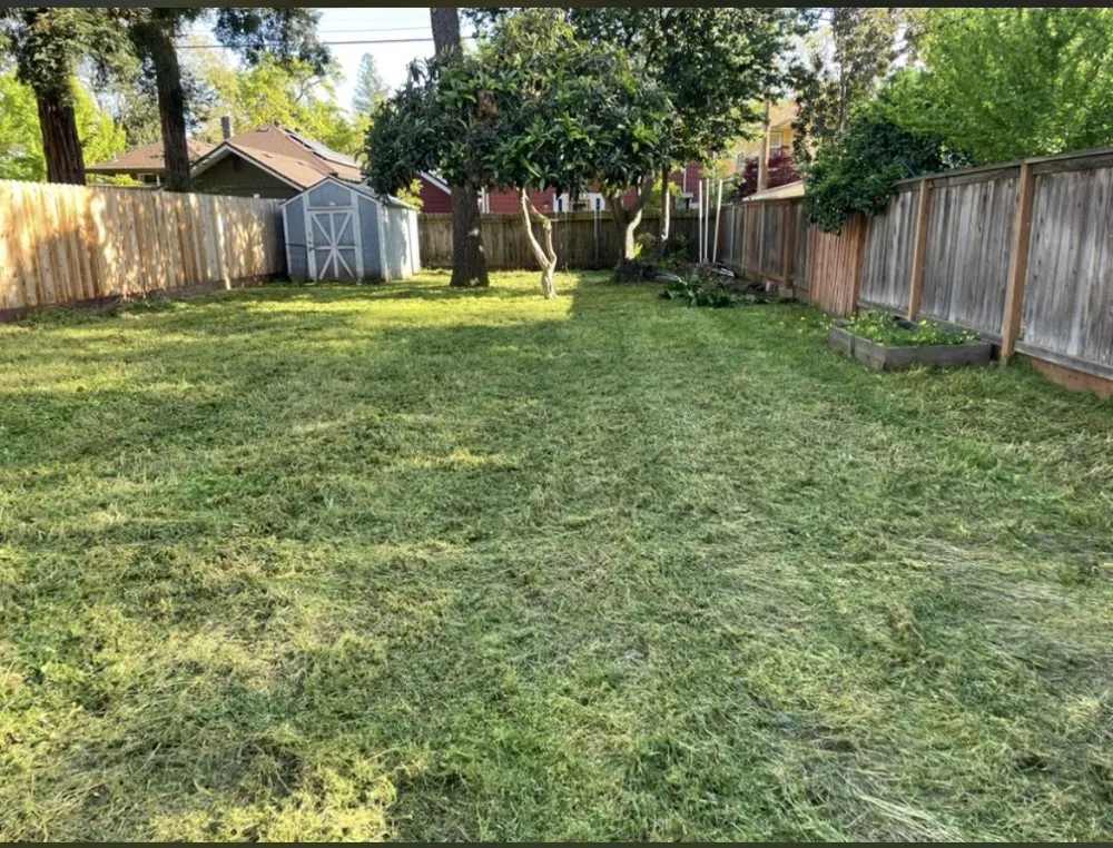 Local yard maintenance for year-round maintenance in Sacramento, CA by Ortiz Landscaping