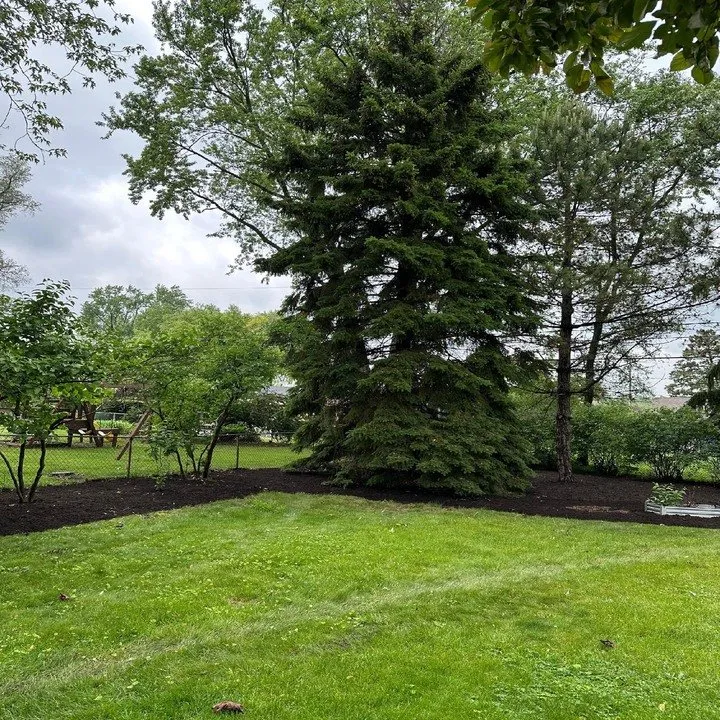 Local lawn care service for beautiful yards in Woodstock, IL by Ortiz Landscaping