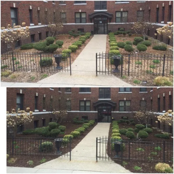 Local landscaping services experts serving South Saint Paul, MN - Ortiz Lawn and Landscaping