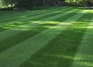 Local landscape installation in South Saint Paul, MN - Ortiz Lawn and Landscaping