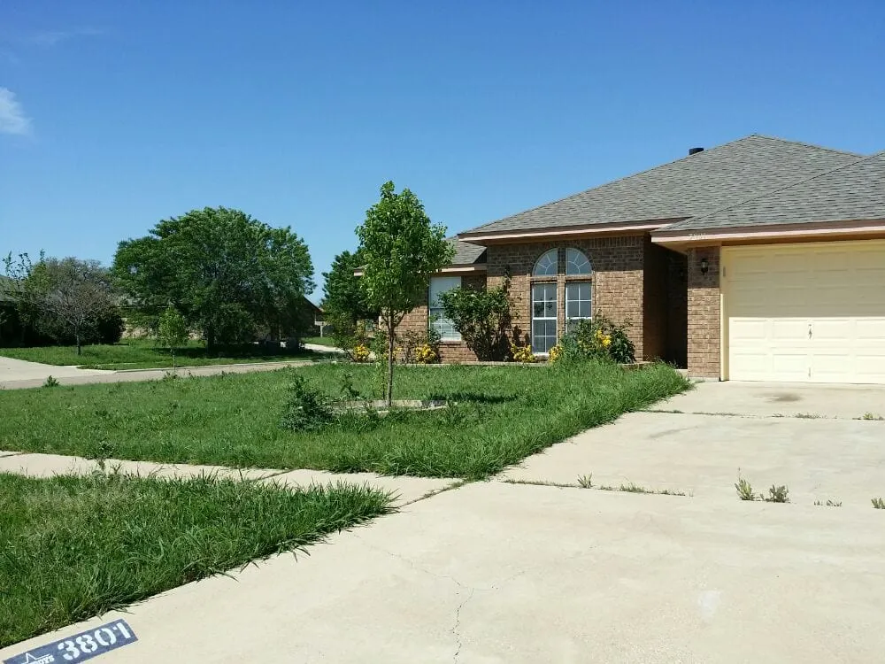 Top-rated residential landscaping experts serving Salado, TX - Ortiz Lawn Care & Landscaping