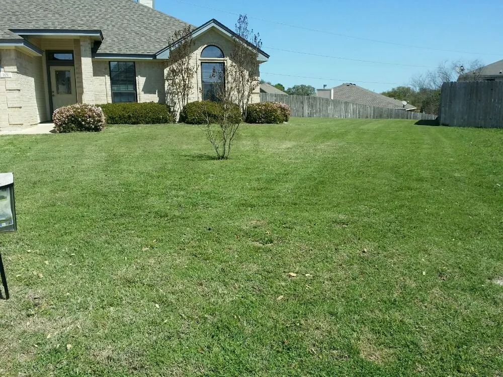 Professional lawn care service in Salado, TX by Ortiz Lawn Care & Landscaping