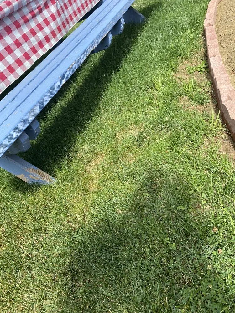 Reliable garden landscaping experts serving Junction City, OR - Ortiz Lawn Care