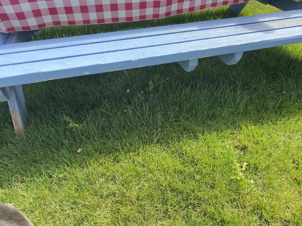 Reliable landscape design in Junction City, OR by Ortiz Lawn Care