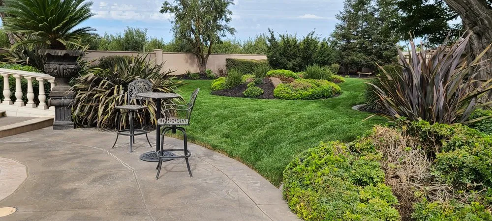 Affordable yard maintenance in Modesto, CA - Ortiz Lawn Care
