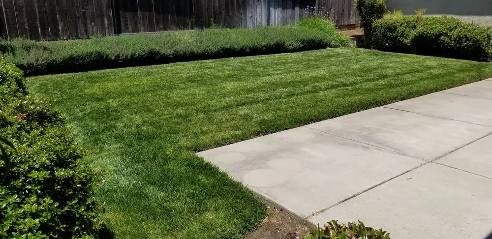Professional outdoor landscaping in Modesto, CA - Ortiz Lawn Care