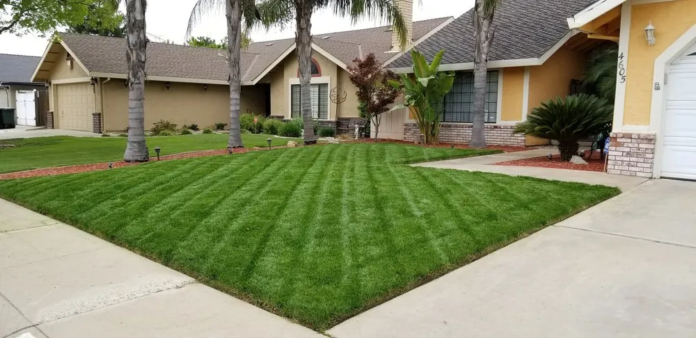Local outdoor landscaping experts serving Modesto, CA - Ortiz Lawn Care