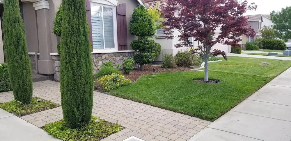 Reliable landscaping services experts serving Modesto, CA - Ortiz Lawn Care
