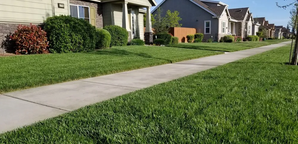 Top-rated landscape installation experts serving Modesto, CA - Ortiz Lawn Care