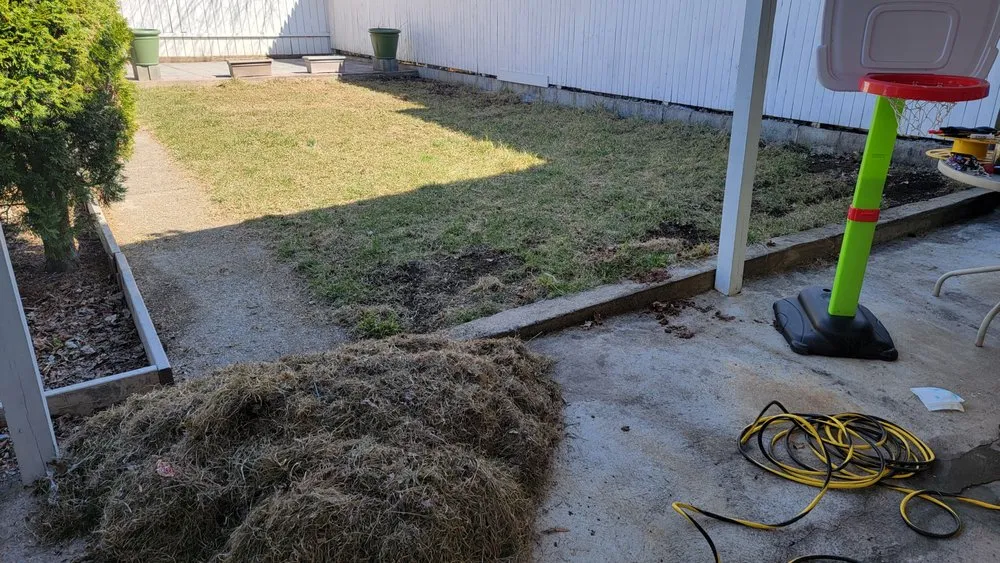 Reliable yard cleanup service in Reading, PA - Ortiz Lawn Care