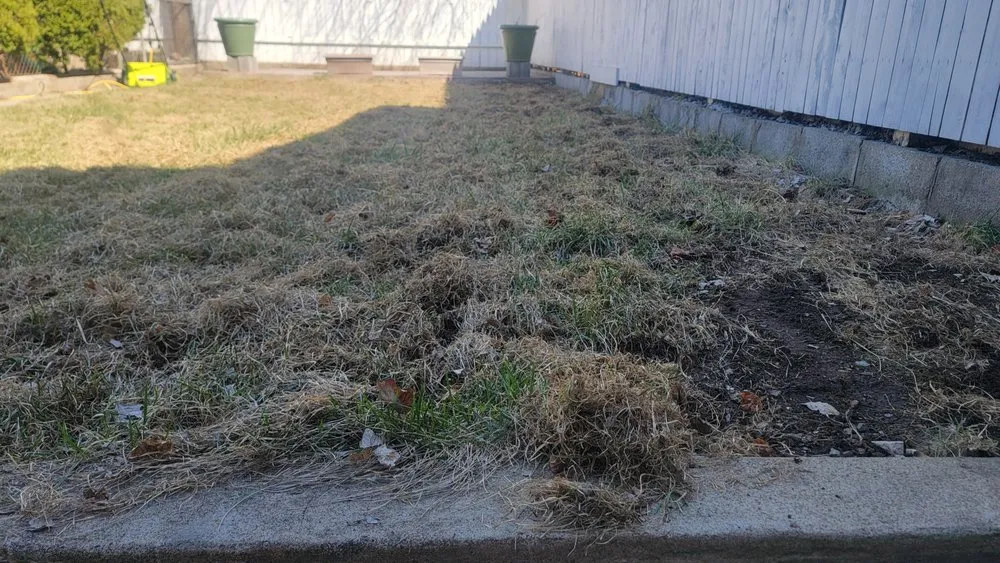 Professional yard cleanup service experts serving Reading, PA - Ortiz Lawn Care