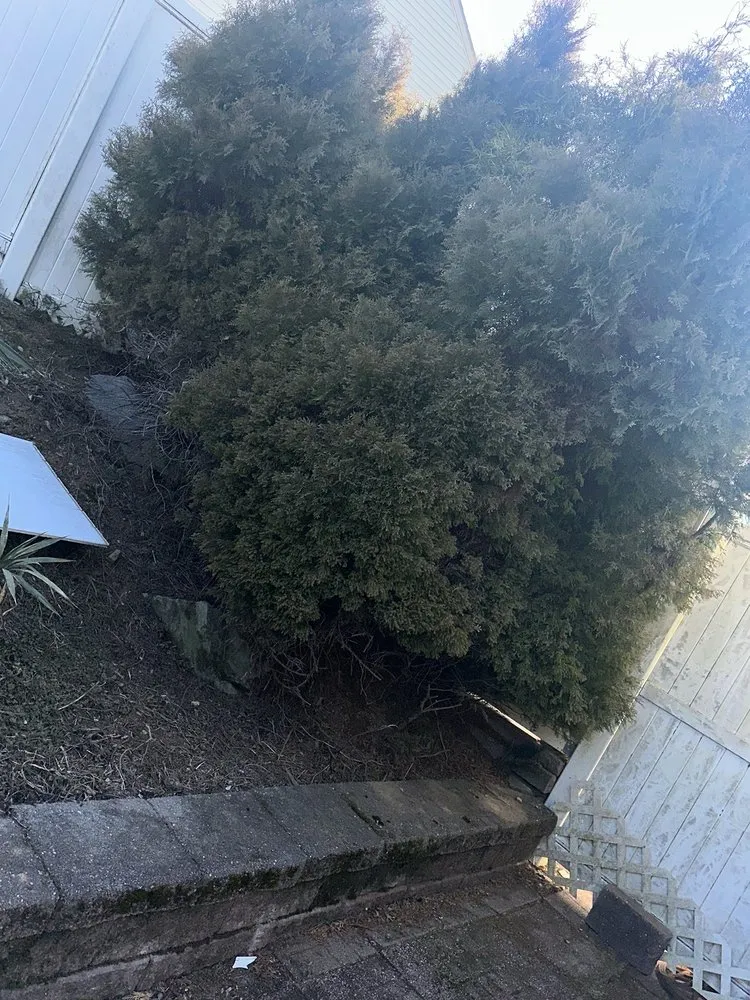 Custom lawn mowing service in Reading, PA - Ortiz Lawn Care