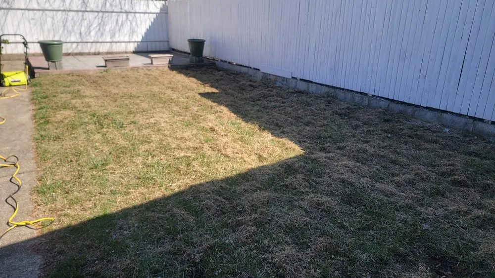 Trusted lawn care service for residential properties across Reading, PA - Ortiz Lawn Care