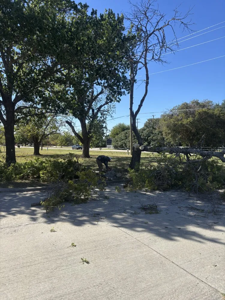 Professional yard cleanup service in Crandall, TX by Ortiz Lawn Care Service