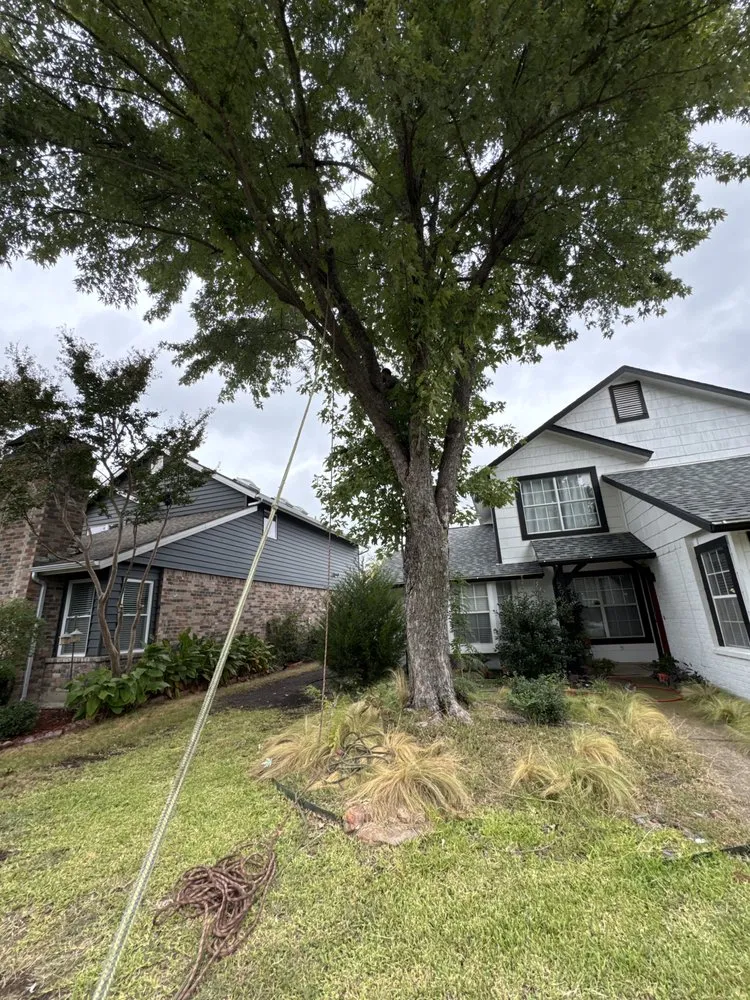 Local landscaping services in Crandall, TX - Ortiz Lawn Care Service