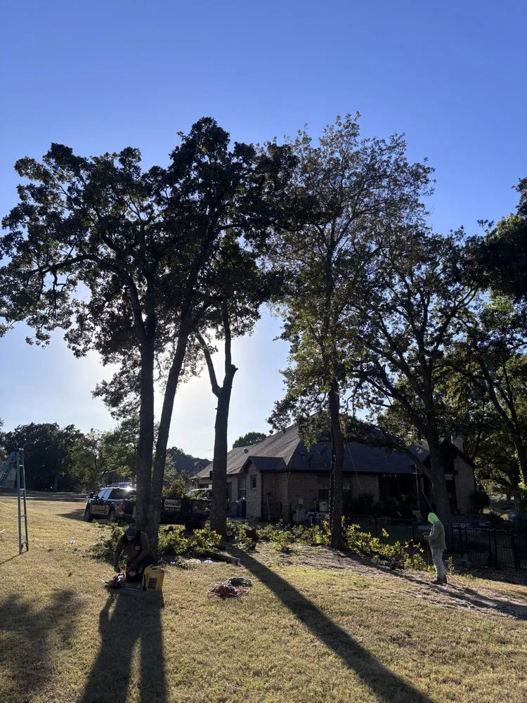 Professional landscape installation experts serving Crandall, TX - Ortiz Lawn Care Service