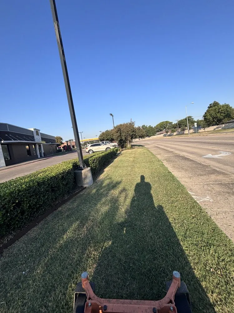 Expert landscape design in Crandall, TX by Ortiz Lawn Care Service