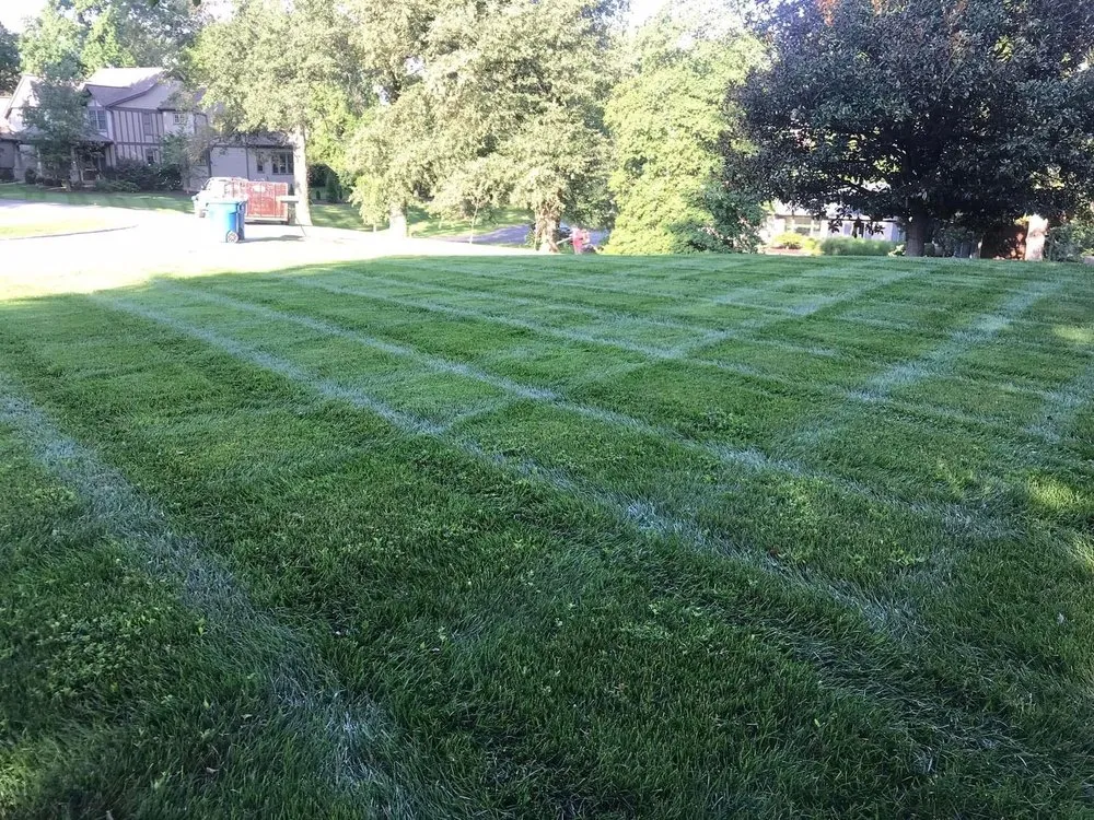 Affordable yard cleanup service in Overland, MO - Ortiz Lawn Care Services