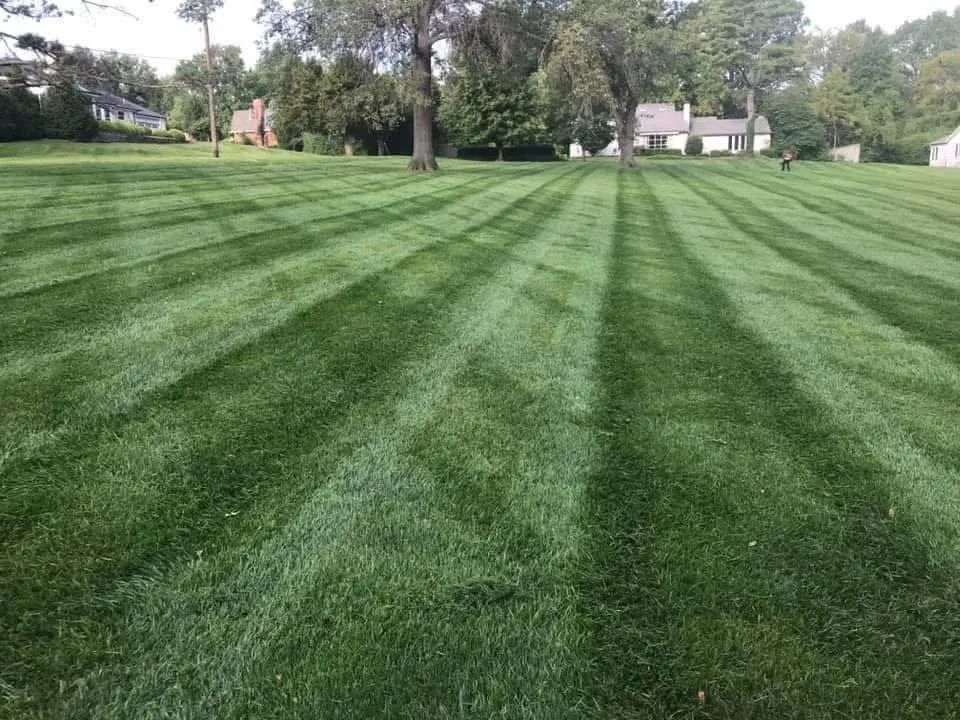 Professional yard maintenance for residential properties across Overland, MO - Ortiz Lawn Care Services