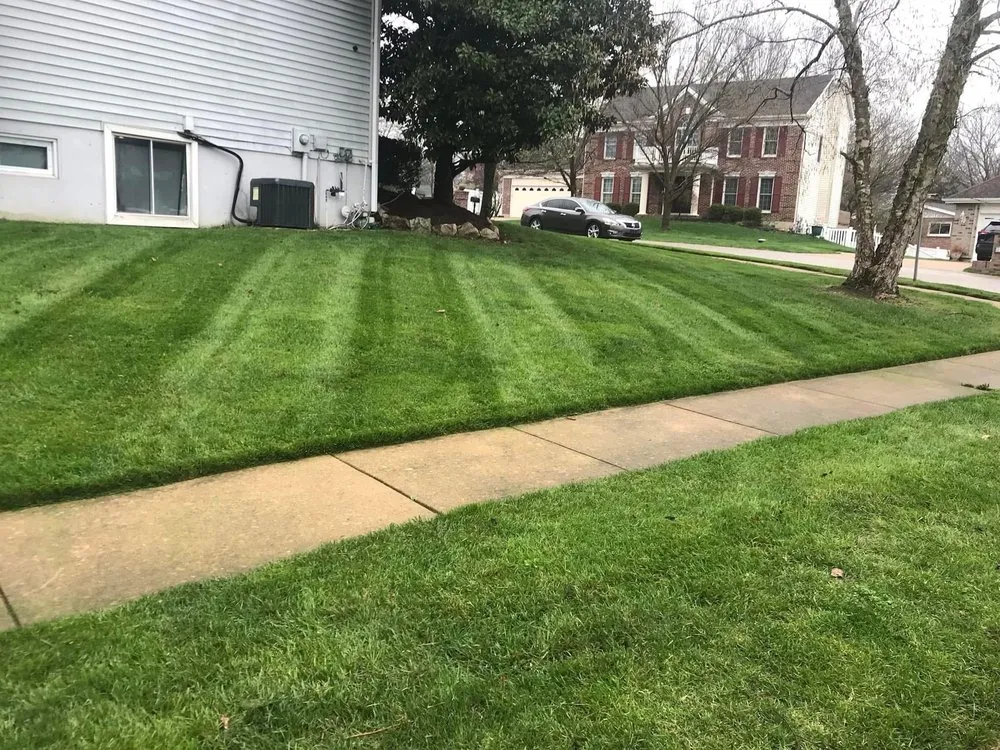 Professional landscape installation in Overland, MO - Ortiz Lawn Care Services