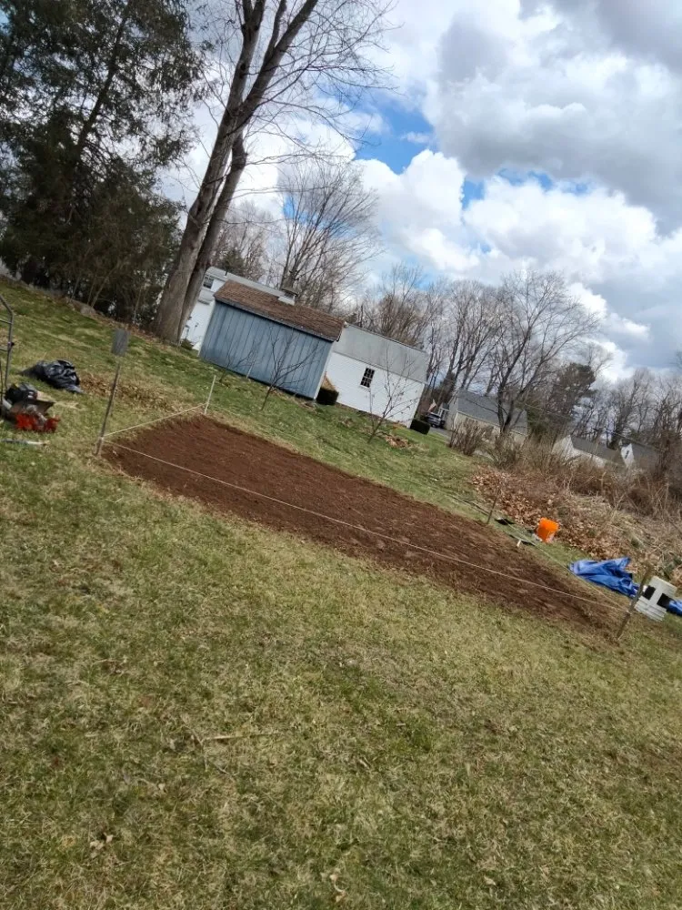 Top-rated residential landscaping in Westfield, MA by Ortiz Lawn Care Services