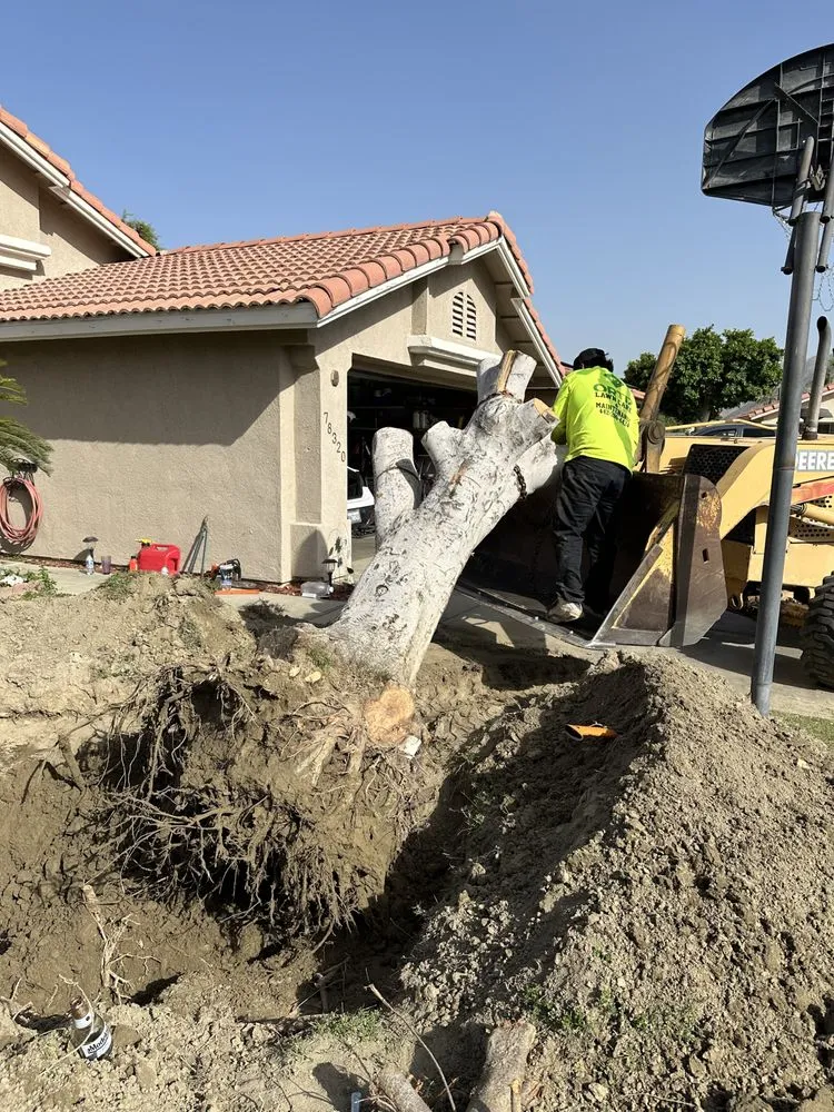 Trusted residential landscaping in Thermal, CA - Ortiz Lawn care