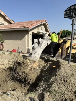 Ortiz Lawn care Logo