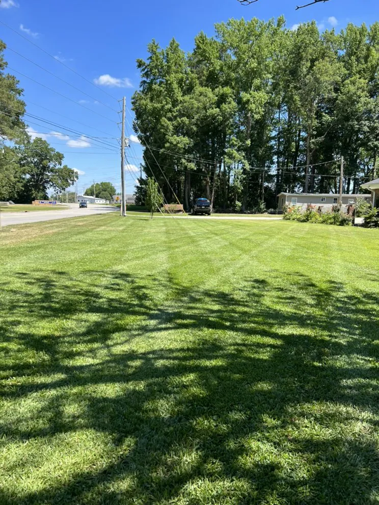 Affordable landscaping services in Wilson, NC - Ortiz Lawn Care