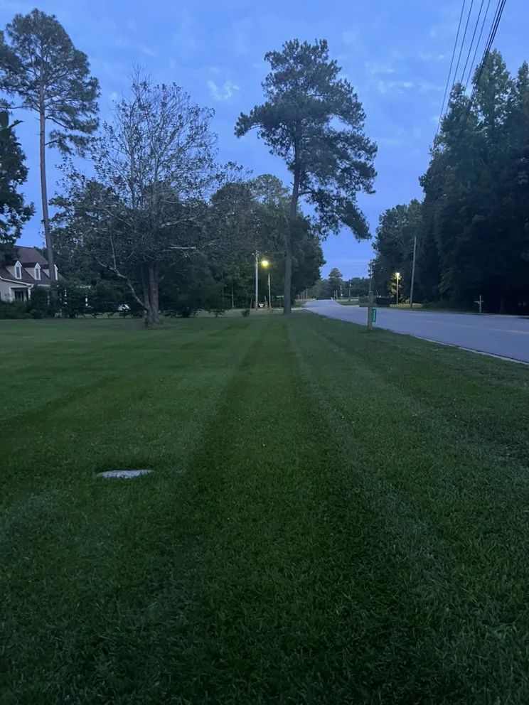 Professional residential landscaping near you across Wilson, NC - Ortiz Lawn Care