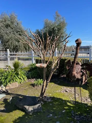 Affordable landscape installation in Modesto, CA - Ortiz Lawn Maintenance