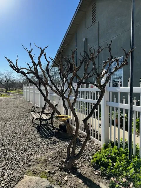 Local lawn mowing service for outdoor upgrades across Modesto, CA - Ortiz Lawn Maintenance