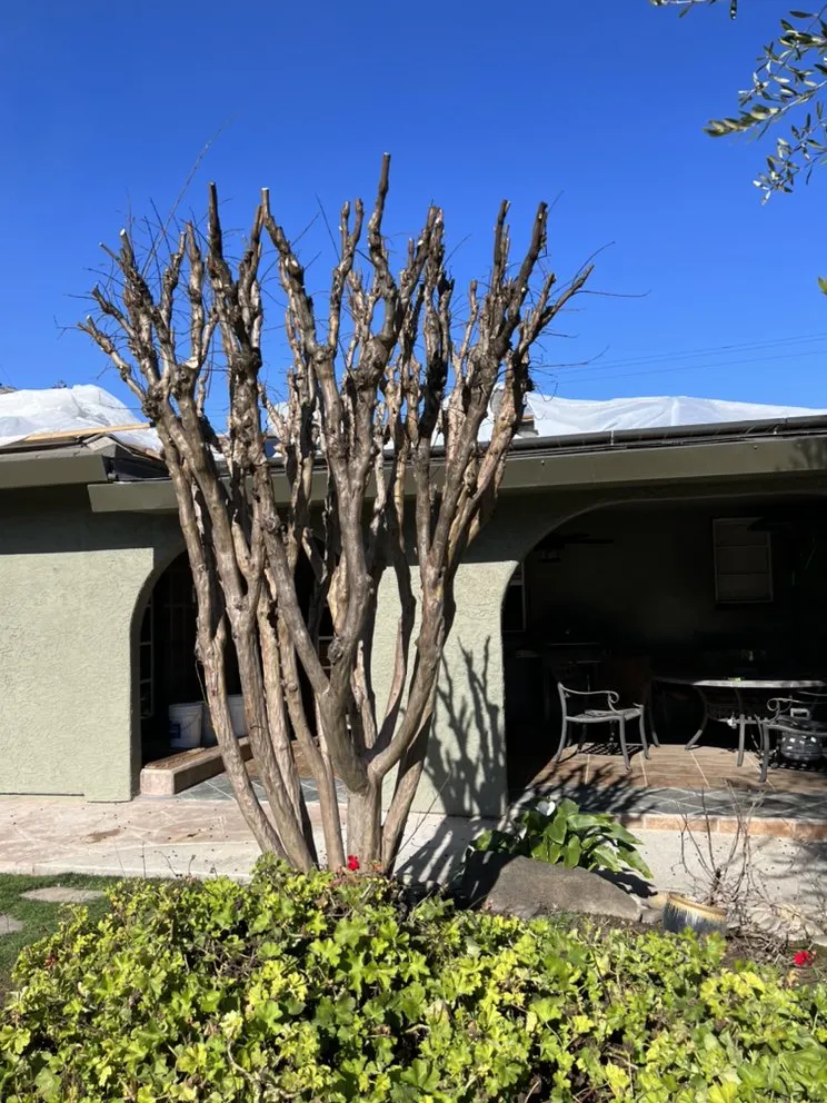 Local landscape design for outdoor upgrades across Modesto, CA - Ortiz Lawn Maintenance