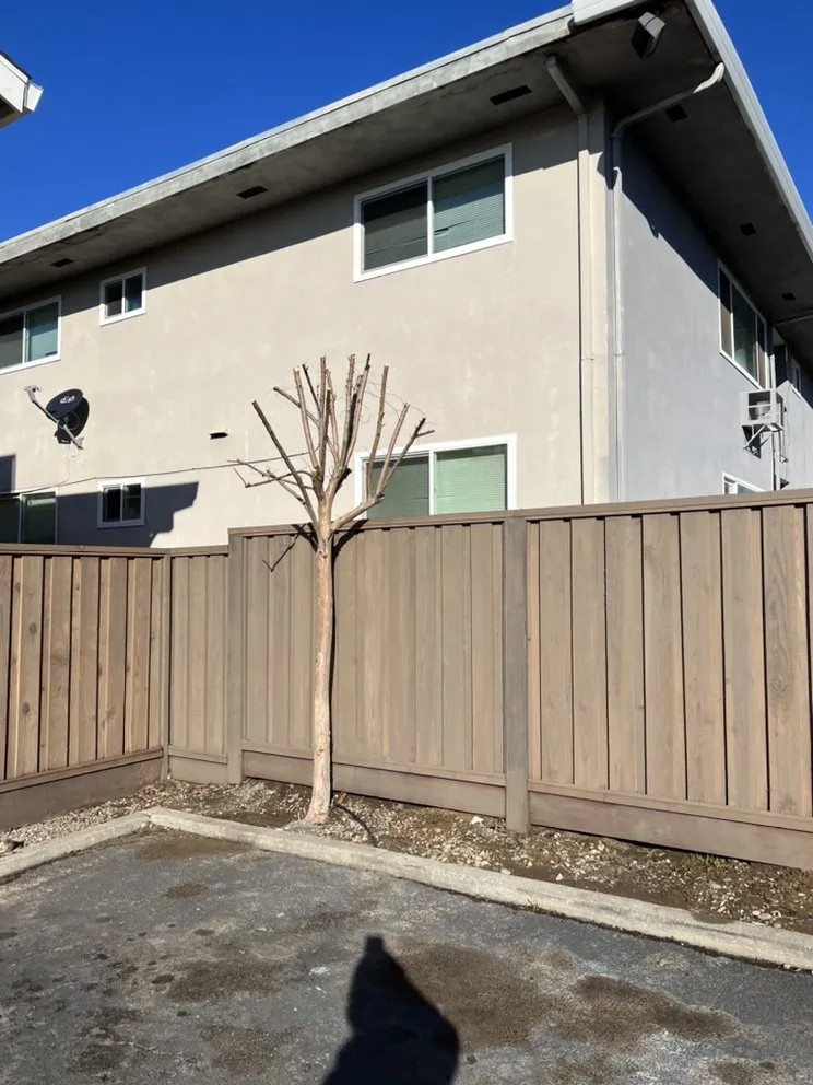 Professional residential landscaping near you in Modesto, CA by Ortiz Lawn Maintenance