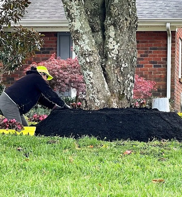 Custom residential landscaping experts serving Decherd, TN - Ortiz Lawn Service