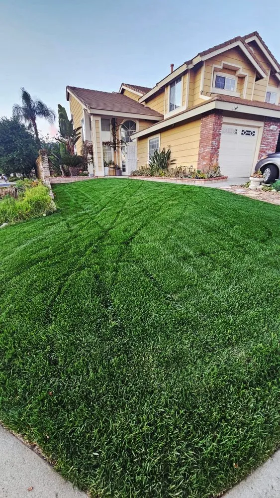 Reliable yard maintenance experts serving Fontana, CA - Ortiz Lawn Service
