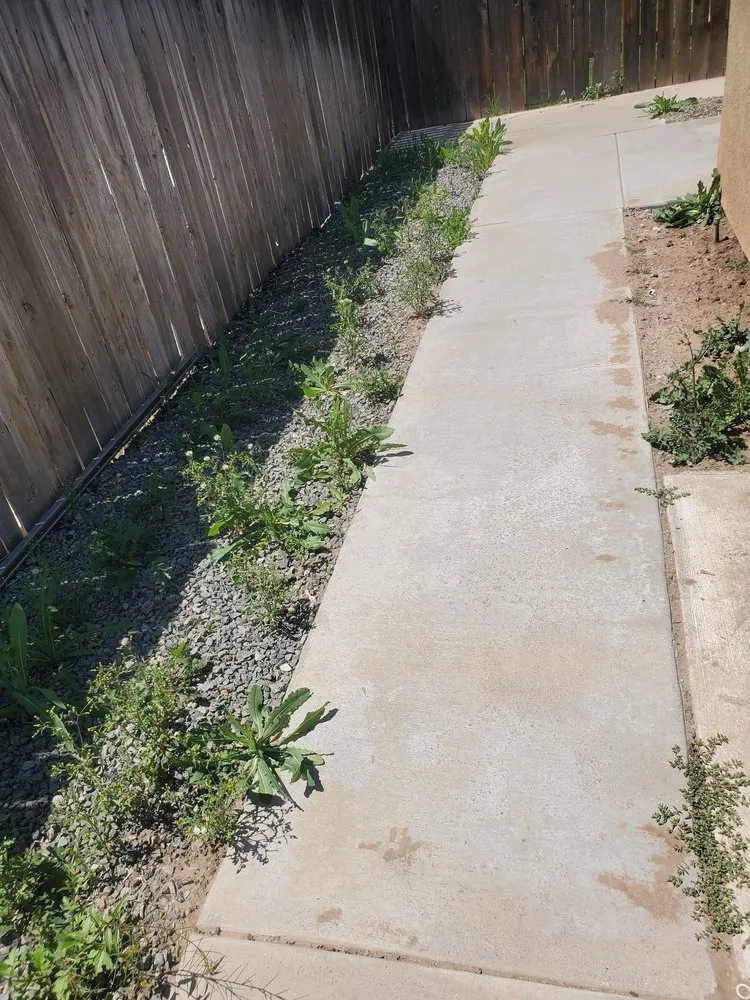 Top-rated yard maintenance experts serving Fontana, CA - Ortiz Lawn Service