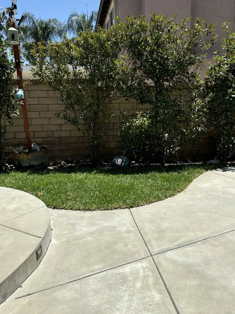 Trusted yard cleanup service in Fontana, CA - Ortiz Lawn Service