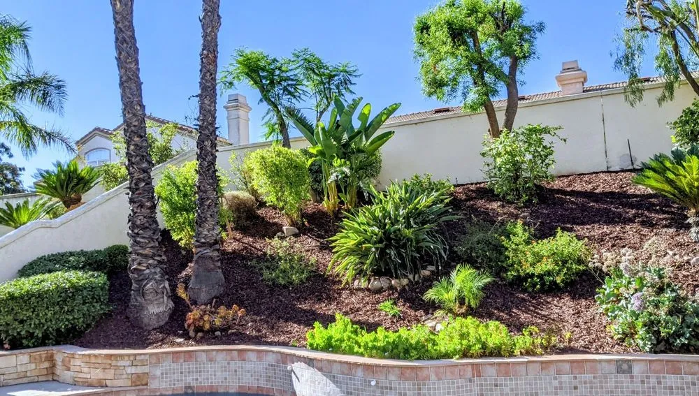 Reliable landscaping services experts serving Fontana, CA - Ortiz Lawn Service