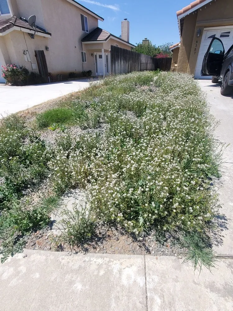 Affordable outdoor landscaping in Fontana, CA - Ortiz Lawn Service